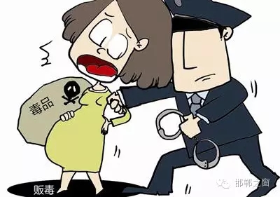 2016年初，涉縣警方查獲一起涉毒案件，鑒于該案涉案人員多、毒品交易量大，涉縣警方立即將案情上報(bào)，被公安部確立為“目標(biāo)-2016-314”號(hào)毒品案件。涉縣警方成立專(zhuān)案組，經(jīng)過(guò)多方追查，先后抓獲團(tuán)伙人員13名，繳獲毒品5349克，并查明上線“濮姐”的真實(shí)身份為陳某。